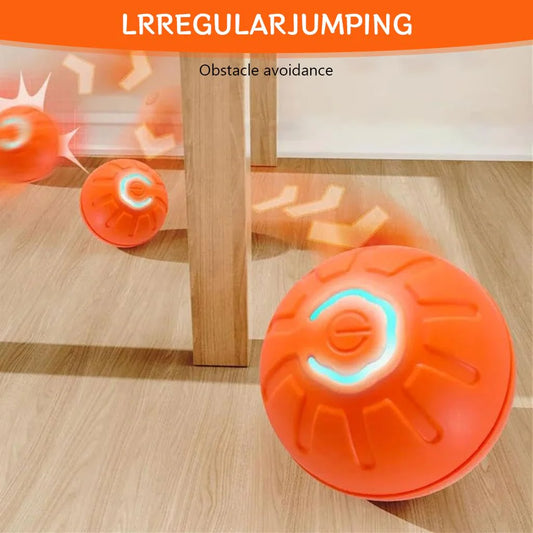 Interactive Dogs Ball Toy