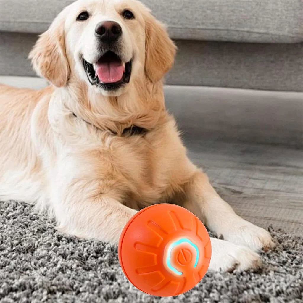 Interactive Dogs Ball Toy